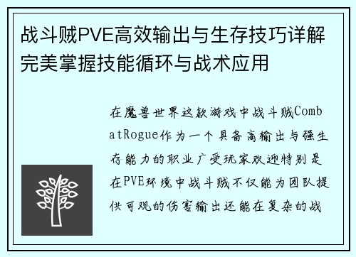 战斗贼PVE高效输出与生存技巧详解 完美掌握技能循环与战术应用